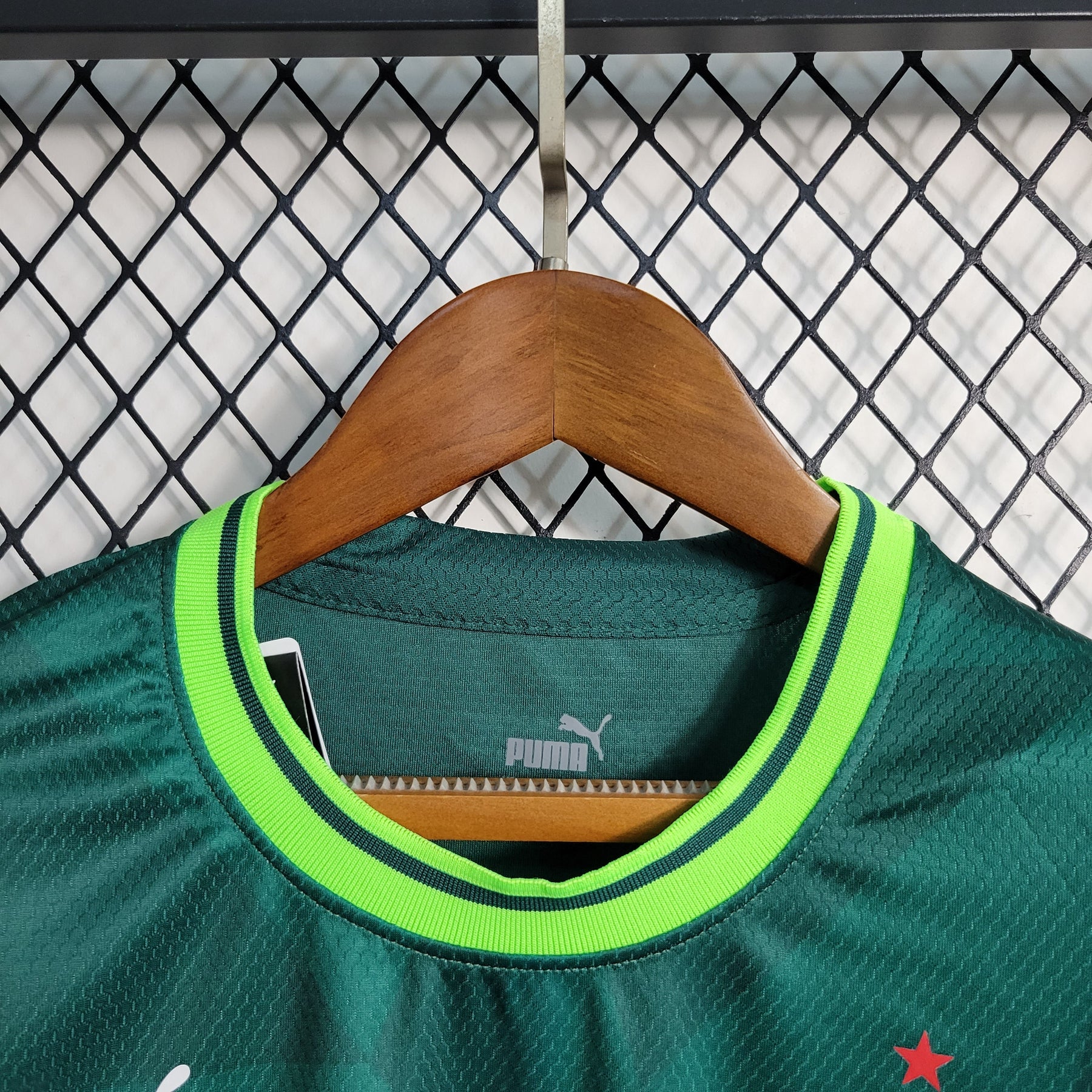 Camisa Palmeiras Home 23/24 - Puma Torcedor Feminina - JM sports