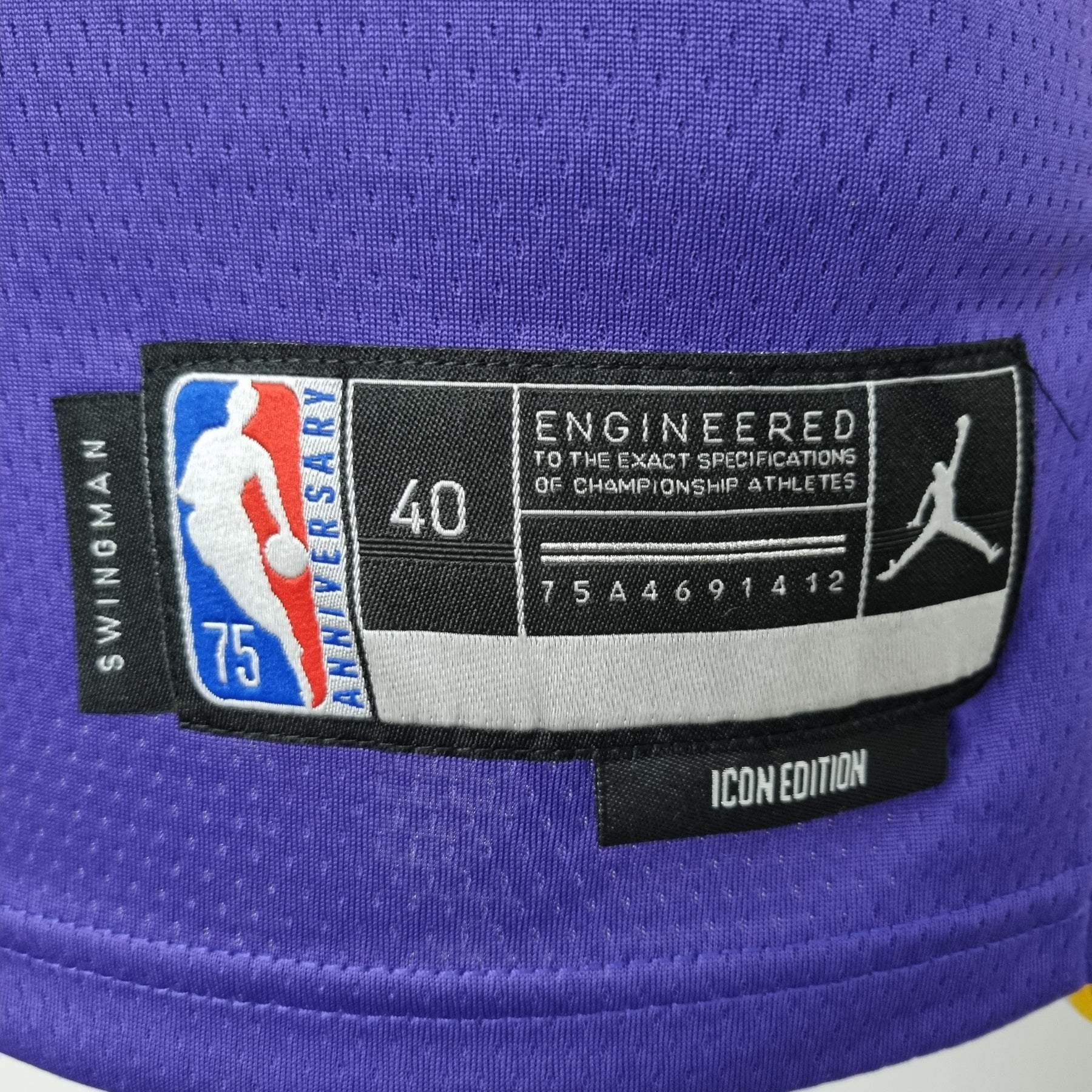 Camisa NBA Lakers #6 Jordan Purple 75° Aniversário - 23/24