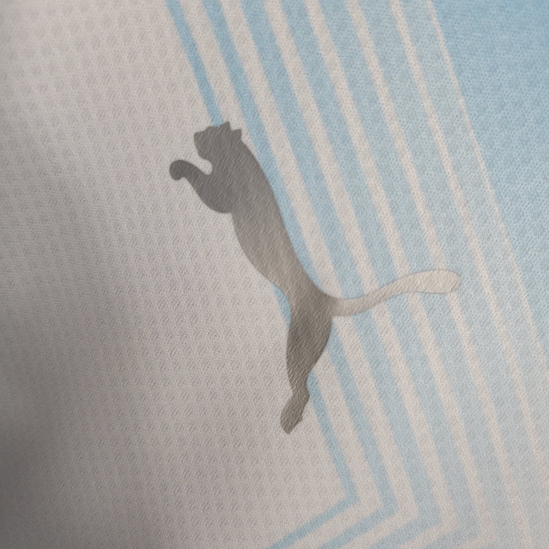 Camisa Olympique Marseille 23/24 - Puma Torcedor Masculina - Lançamento - JM sports