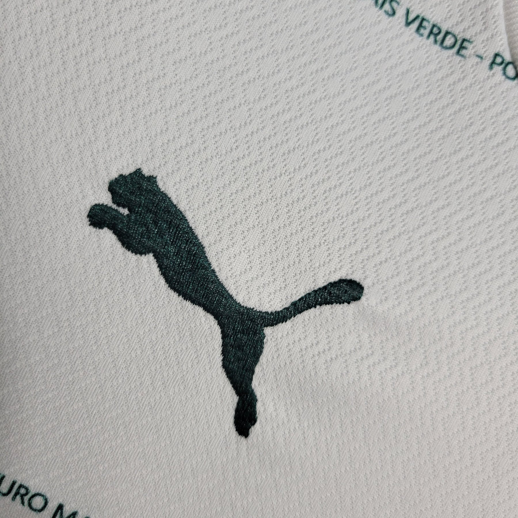 Kit Infantil Palmeiras Reserva 22/23 - JM sports