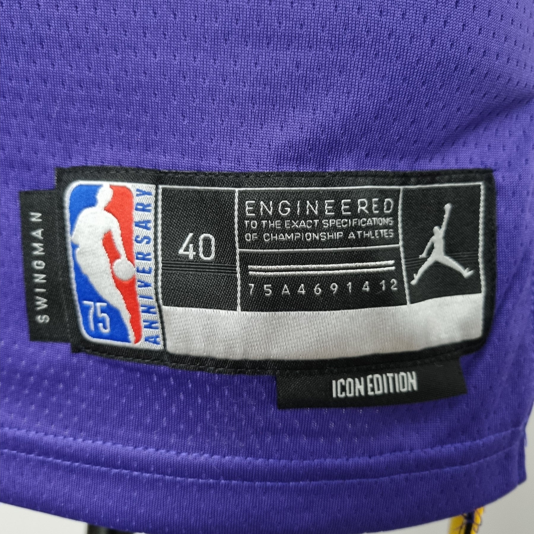 Camisa NBA Lakers #23 Jordan Purple 75° Aniversário- 23/24