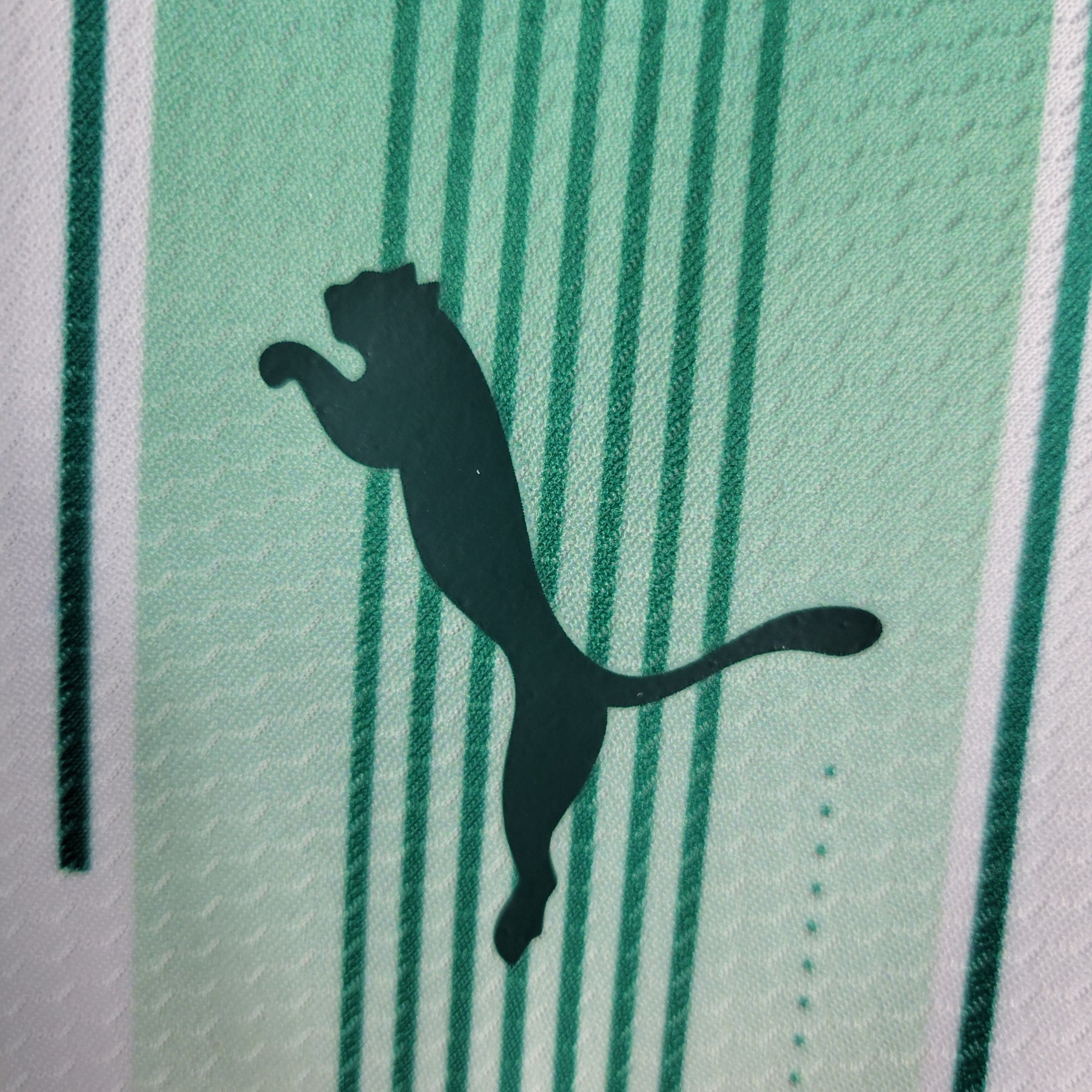 Camisa Palmeiras Away 23/24 - Puma Torcedor Feminina - JM sports