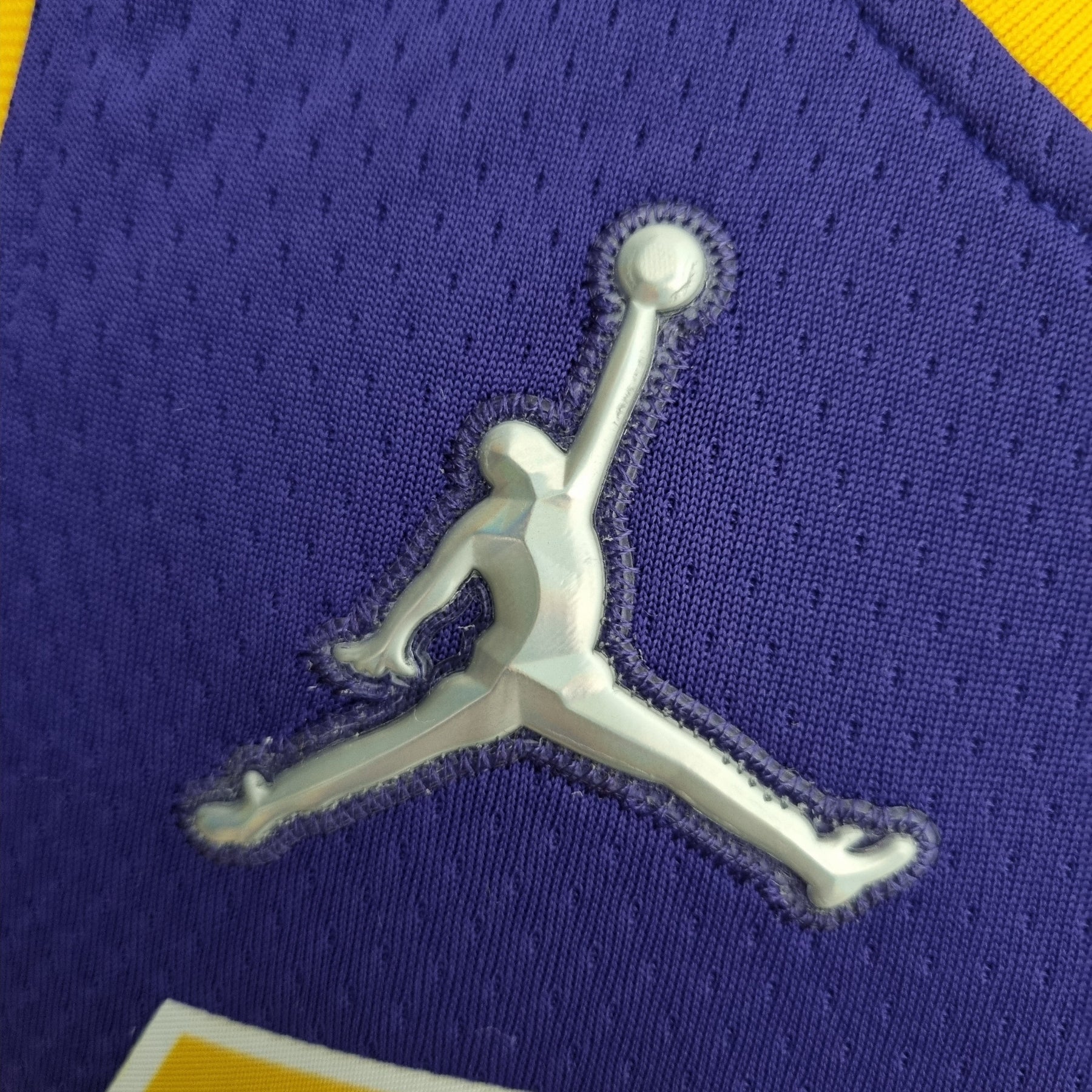 Camisa NBA Lakers #6 Jordan Purple 75° Aniversário - 23/24