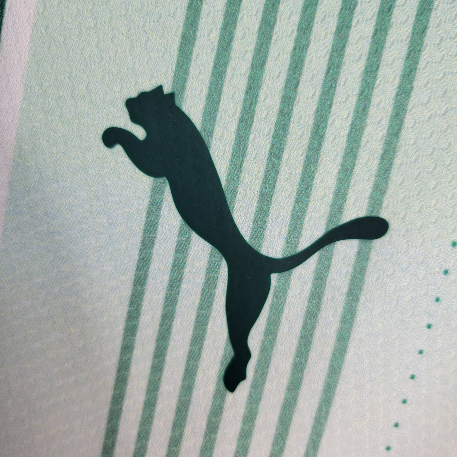 Camisa Palmeiras Away 23/24 - Puma Torcedor Masculina - JM sports