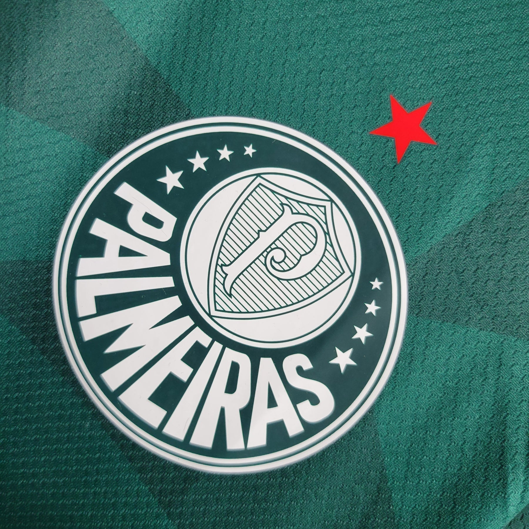 Camisa Palmeiras Home 23/24 - Puma Torcedor Masculina - JM sports