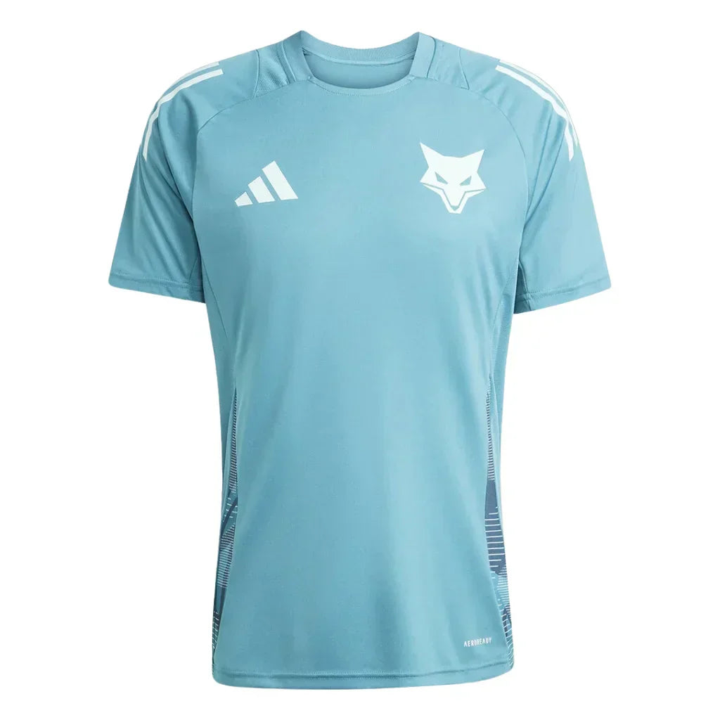 Camisa Masculina Treino Cruzeiro 2024/2025 - Torcedor