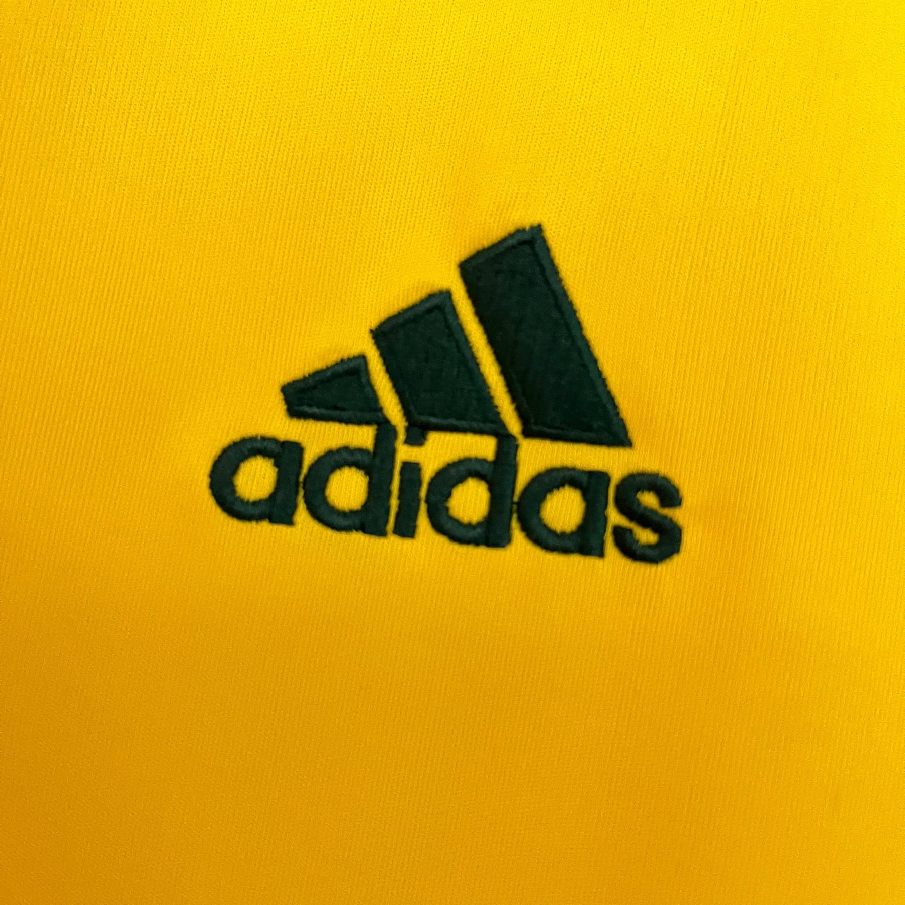 CAMISA RETRÔ PALMEIRAS EDIÇÃO ESPECIAL 2013