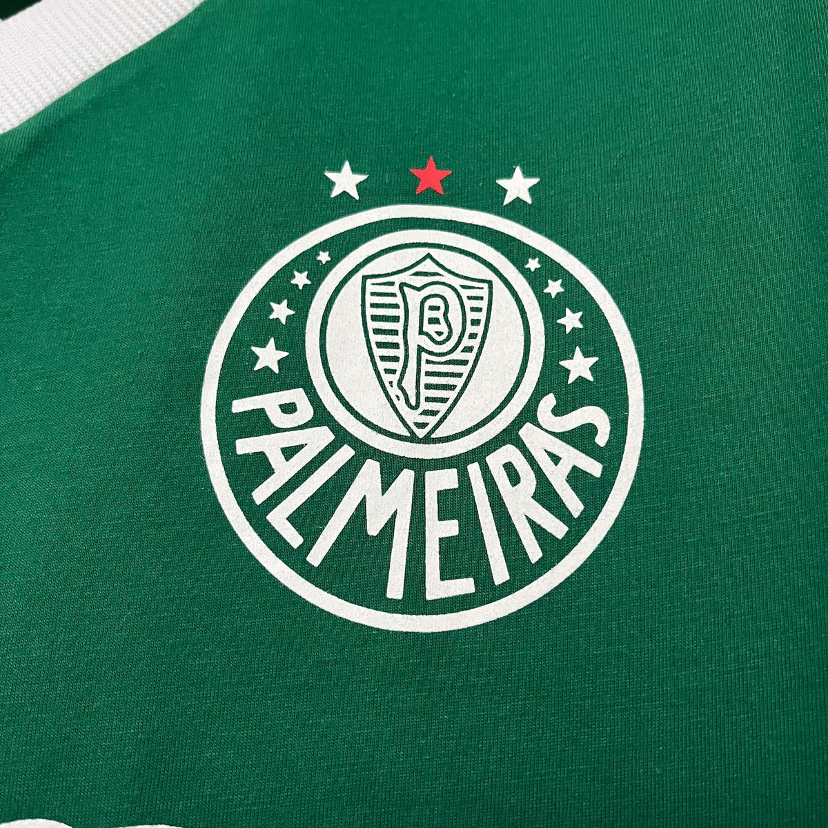 CAMISA RETRÔ PALMEIRAS TITULAR 1989