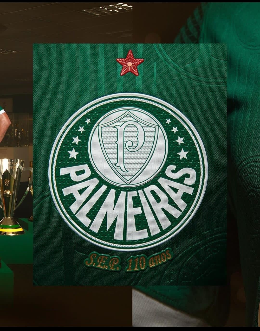 Camisa Puma lançamento Palmeiras 24/25- Versão torcedor - JM sports 