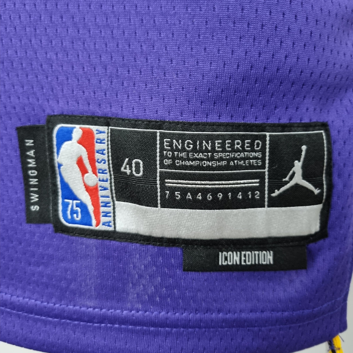 Camisa NBA Lakers #3 Davis Purple 75° Aniversário- 23/24 - JM sports 