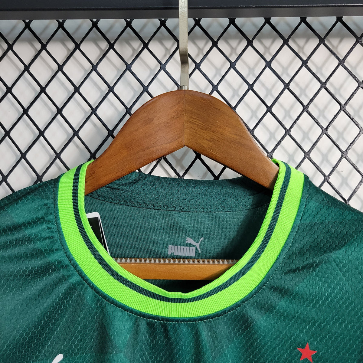 Camisa Palmeiras Home 23/24 - Puma Torcedor Feminina - JM sports 