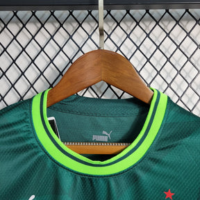 Camisa Palmeiras Home 23/24 - Puma Torcedor Feminina - JM sports 