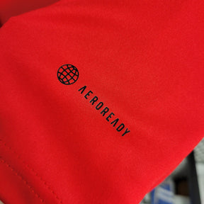 Camisa Flamengo Treino 23/24 - Umbro Torcedor Masculina - JM sports 