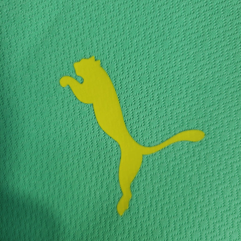 Camisa Palmeiras 23/24 - Puma Torcedor Masculina - JM sports 