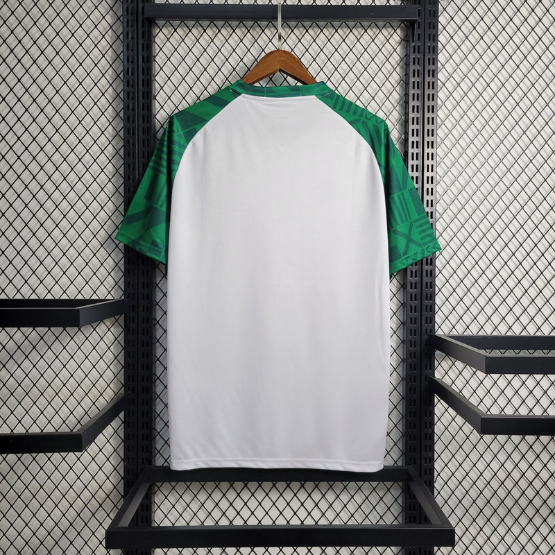 Camisa Palmeiras Treino II 23/24 - Puma Torcedor Masculina - JM sports 