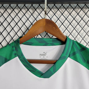 Camisa Palmeiras Treino II 23/24 - Puma Torcedor Masculina - JM sports 
