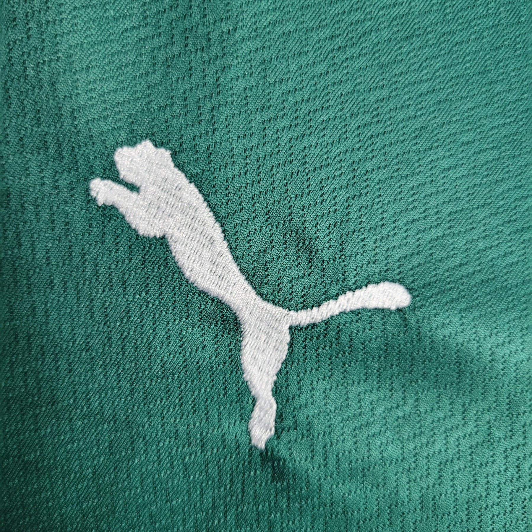 Kit Infantil Palmeiras Titular 22/23 - JM sports 