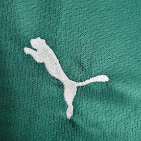 Kit Infantil Palmeiras Titular 22/23 - JM sports 