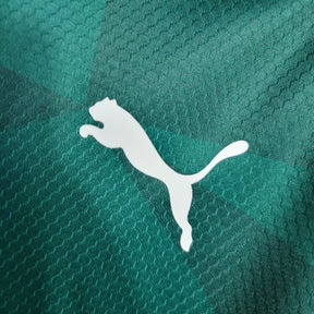 Camisa Palmeiras Home 23/24 - Puma Torcedor Feminina - JM sports 