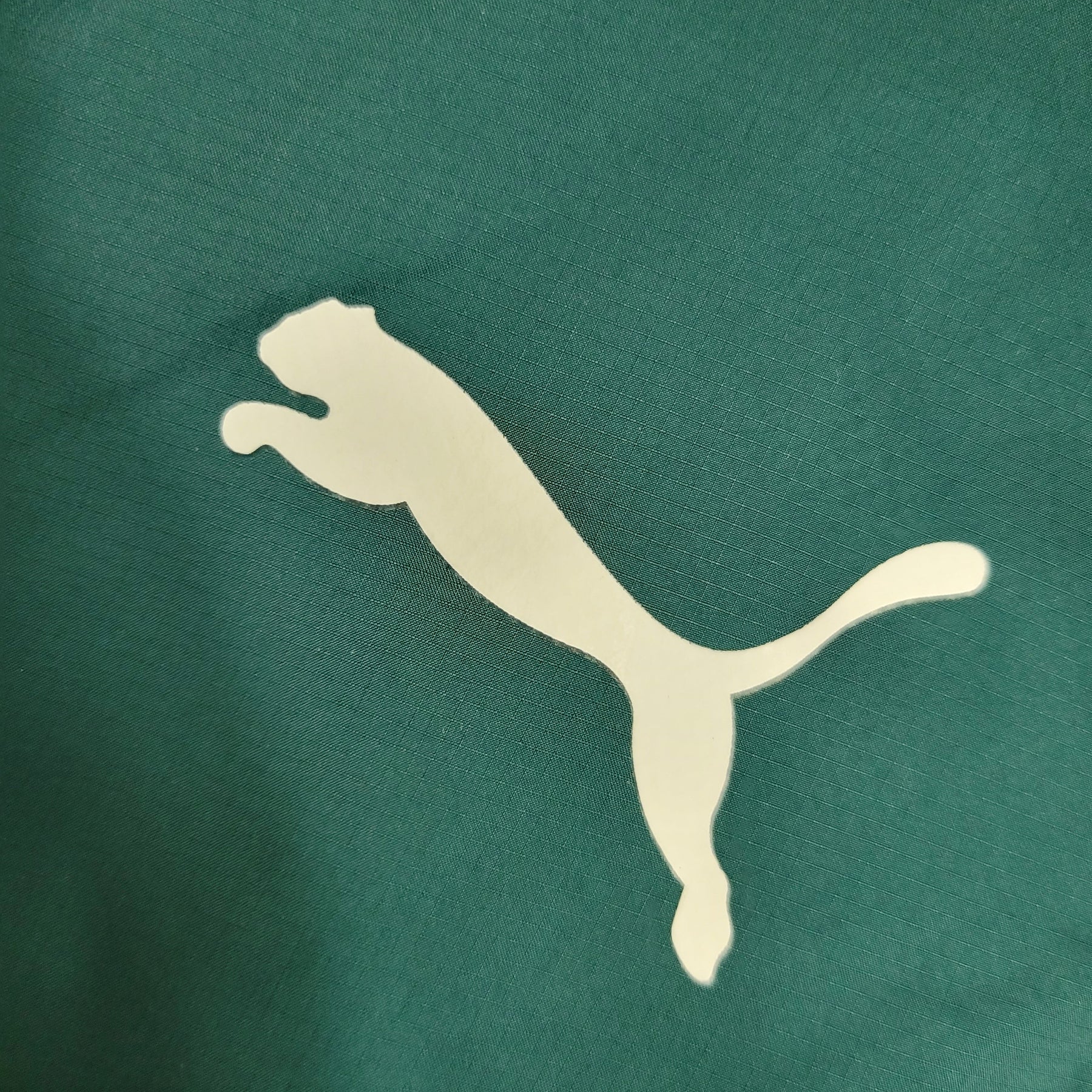 Jaqueta Corta Vento Palmeiras 23/24 - Verde - JM sports 